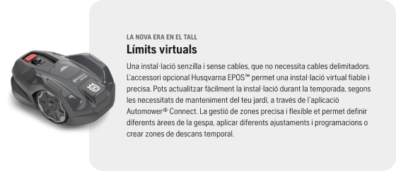 limites virtuales