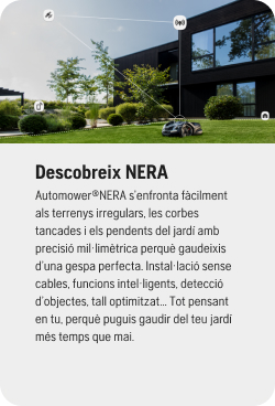 Descubre Nera