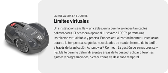 limites virtuales