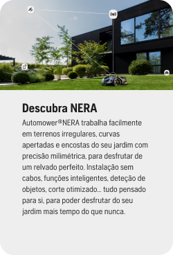 Descubre Nera